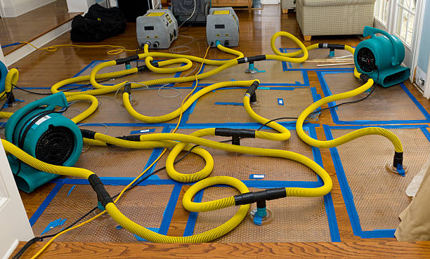 Professional Storm Water Damage Restoration technician working in Maryland Heights, MO